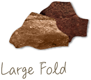 Large Fold